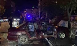 Aniden hareket etti, ağaca çarparak durdu