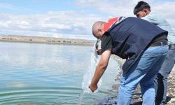 Kars'taki Göllere 500 Bin Yavru Sazan Bırakıldı