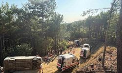 Kazdağı Milli Parkı’nda Tur Minibüsü Devrildi: 11 Yaralı