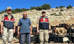 Kilis’te kaybolan 100 küçükbaş hayvan bulundu