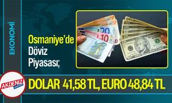 Osmaniye’de Döviz Piyasası; Dolar 41,58 TL, Euro 48,84 TL