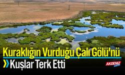 Kuraklığın Vurduğu Çalı Gölü'nü Kuşlar Terk Etti
