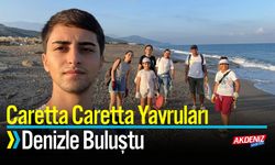 Caretta Caretta Yavruları Denizle Buluştu