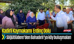 Osmaniye'nin Köylerinde Sorunlar Yerinde Tespit Ediliyor