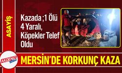 Mersin’de Korkunç Kaza; 1 Ölü,4 Yaralı