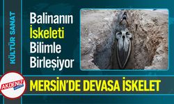 Balinanın İskeleti Bilimle Birleşiyor