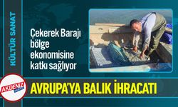 Çekerek Barajından Avrupa’ya Balık İhracatı