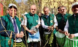 Coğrafi İşaretli Akkuş Şeker Fasulyesi'nde 5. Hasat Coşkusu