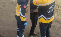 Elazığ Karakoçan'da Korkutan Olay