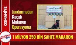 Osmaniye’de 1 Milyon 250 Bin Sahte Makaron Ele Geçirildi