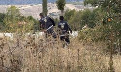 Kaçak Göçmen Konteyner Altında Yakalandı