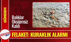 Siirt’te Göl Alarm Veriyor: Binlerce Balık Telef Oldu