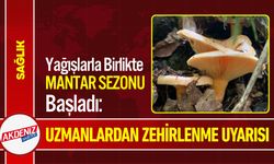 Mantar Sezonu Başladı: Uzmanlardan Zehirlenme Uyarısı