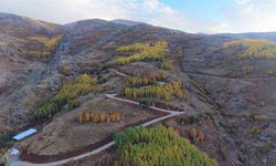 Kursiyerlerden Hem Sanat Hem Duyarlılık Örneği