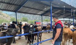 Şap Hastalığı Nedeniyle Hayvan Pazarı Kapatıldı