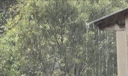 Tunceli’de Sağanak Yağış Sürprizi