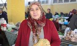 Kova Kova Topladı, Pazarda Kilosunu 400 Liraya Sattı