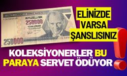 Elinizde varsa şanslısınız: Koleksiyonerler bu paraya servet ödüyor