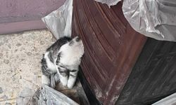 Adana'da İtfaiyeden Duygulandıran Kurtarma