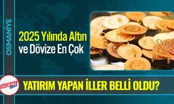 Altın ve Dövize En Çok Yatırım Yapan İller Belli Oldu