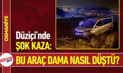 Osmaniye'de Şok Kaza: Araç dama nasıl düştü?