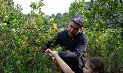 Ataşehir'de 4. Geleneksel Dağ Çileği Festivali