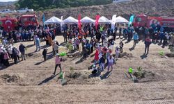 Aydın'da 17 Noktada On Binlerce Fidan Toprakla Buluşuyor