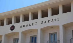 Bodrum'da Yavru Köpekleri Tüfekle Vuran Şahıs Tutuklandı!