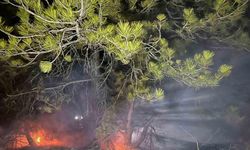 Mudurnu Gürçam'da Yangın Büyümeden Söndürüldü