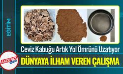 Ceviz Kabuğundan Asfalt Ürettiler; Asfalt Devrimi