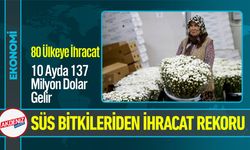 Çiçek Sektöründen İhracat Rekoru; 137 Milyon Dolar Gelir