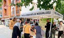 Datça’da ‘Yeşil Vatan’ seferberliği