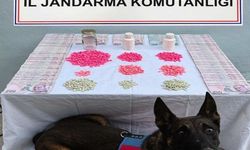 Denizli Jandarması'ndan Narkotik Operasyonu