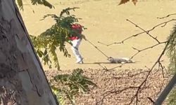 Edirne'de Yürek Burkan Görüntüler