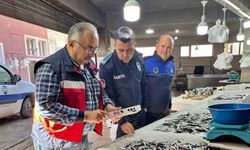Emet Pazarı'nda Su Ürünleri Denetimi