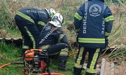 Fosseptik Çukuruna Düşen Köpeğin İmdat Çığlığı