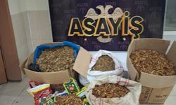 Hatay'da Tütün Operasyonu: 250 Kilogram Tütün Ele Geçirildi