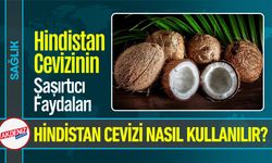 Hindistan Cevizi, İşte Sağlığa ve Cilde Etkileri