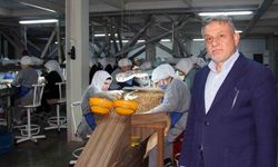 İhracatta %50 Düşüş Fiyatları Baskılıyor: Yıl Sonuna 290 TL