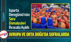 Bu Domatesler Avrupa ve Orta Doğu’da Sofralarında