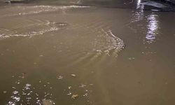 İstanbul'da Sağanak Yağış Etkili Oldu