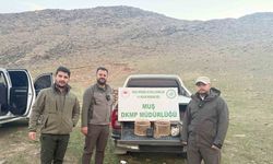 Kafes avcılığı yapan şahıs suçüstü yakalandı: 20 bin TL ceza