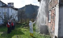 Kahverengi Kokarcaya Karşı Kışlak İlaçlaması Başladı