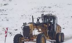 Kapanan Nemrut Dağı yolu ulaşıma açıldı