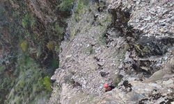 Kayalıklarda Mahsur Kalan 5 Keçi İtfaiyeyle Kurtarıldı