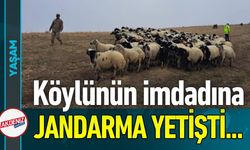Köylünün İmdadına Jandarma Yetişti