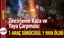 Zincirleme Kaza ve Yaya Çarpması: İki Ayrı Ölüm