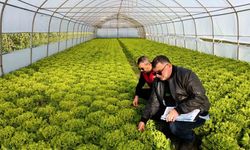 Kırklareli’nde sera denetimleri