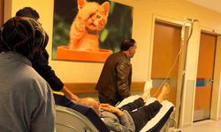 Kırsal Mahallede Korkutan Olay: Yaşlı Adam Hastaneye Kaldırıldı