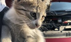 Kış Geldi, Araçlarınızı Çalıştırmadan Önce Kaputa Vurun!